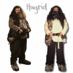 HAGRID